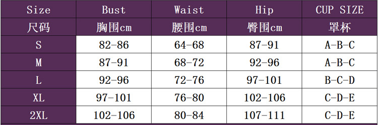 Womens Athletic One-Piece Swimsuit With Geometric Print Panels
